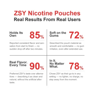 TOBACCO NICOTINE POUCHES - Image 4