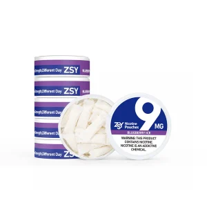 Blueberry Ice Nicotine Pouches - Image 6