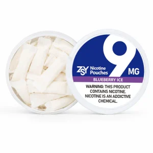 Blueberry Ice Nicotine Pouches - Image 7