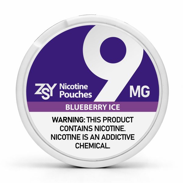 BLUEBERRY ICE NICOTINE POUCHES